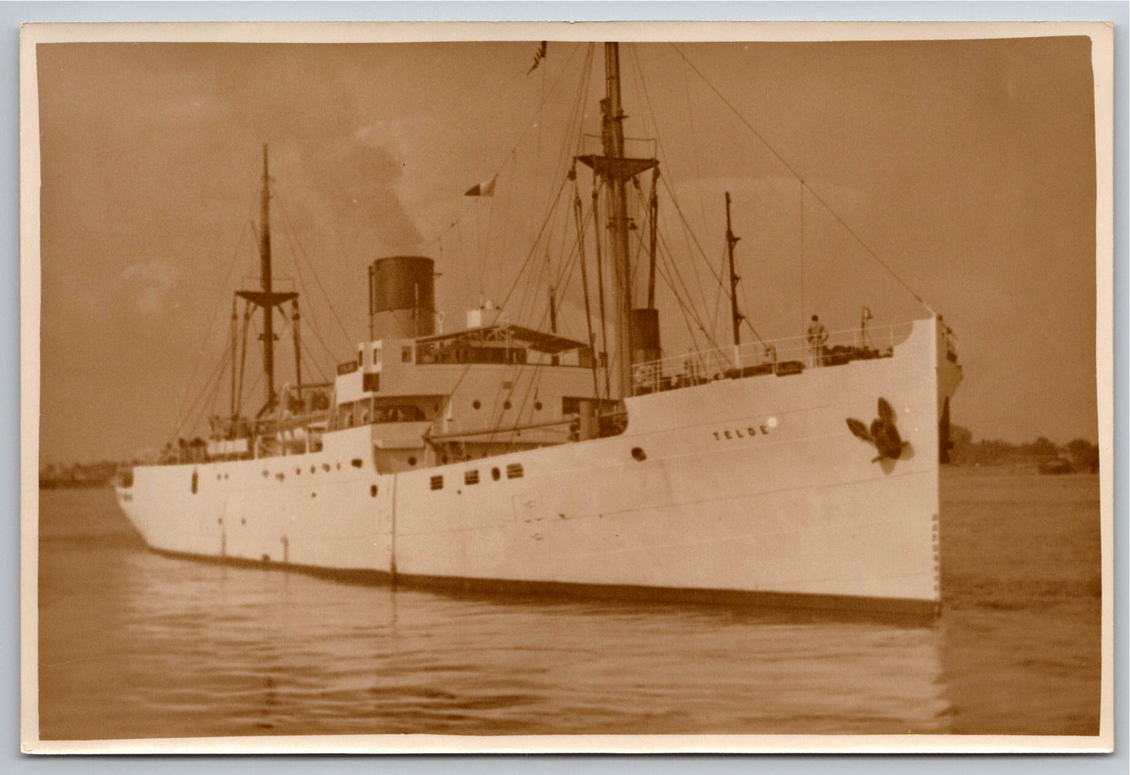 Vintage SS Telde Banana Boat Steamship Photo by Scozzafava