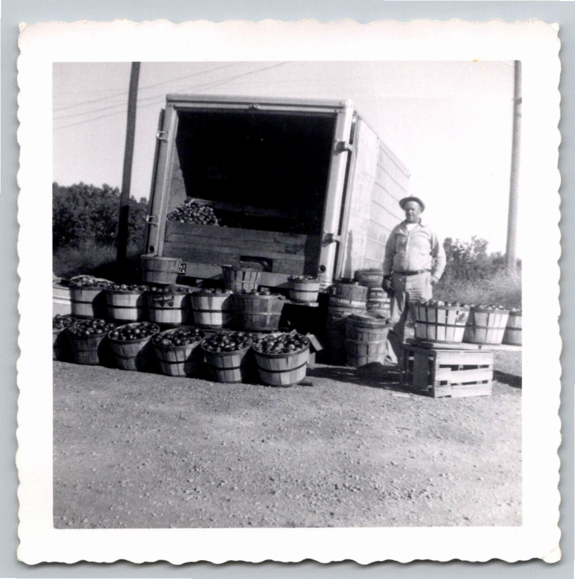1950s Vintage Farmer Apple Harvest Photo with Delivery Truck - Vintage Artifact