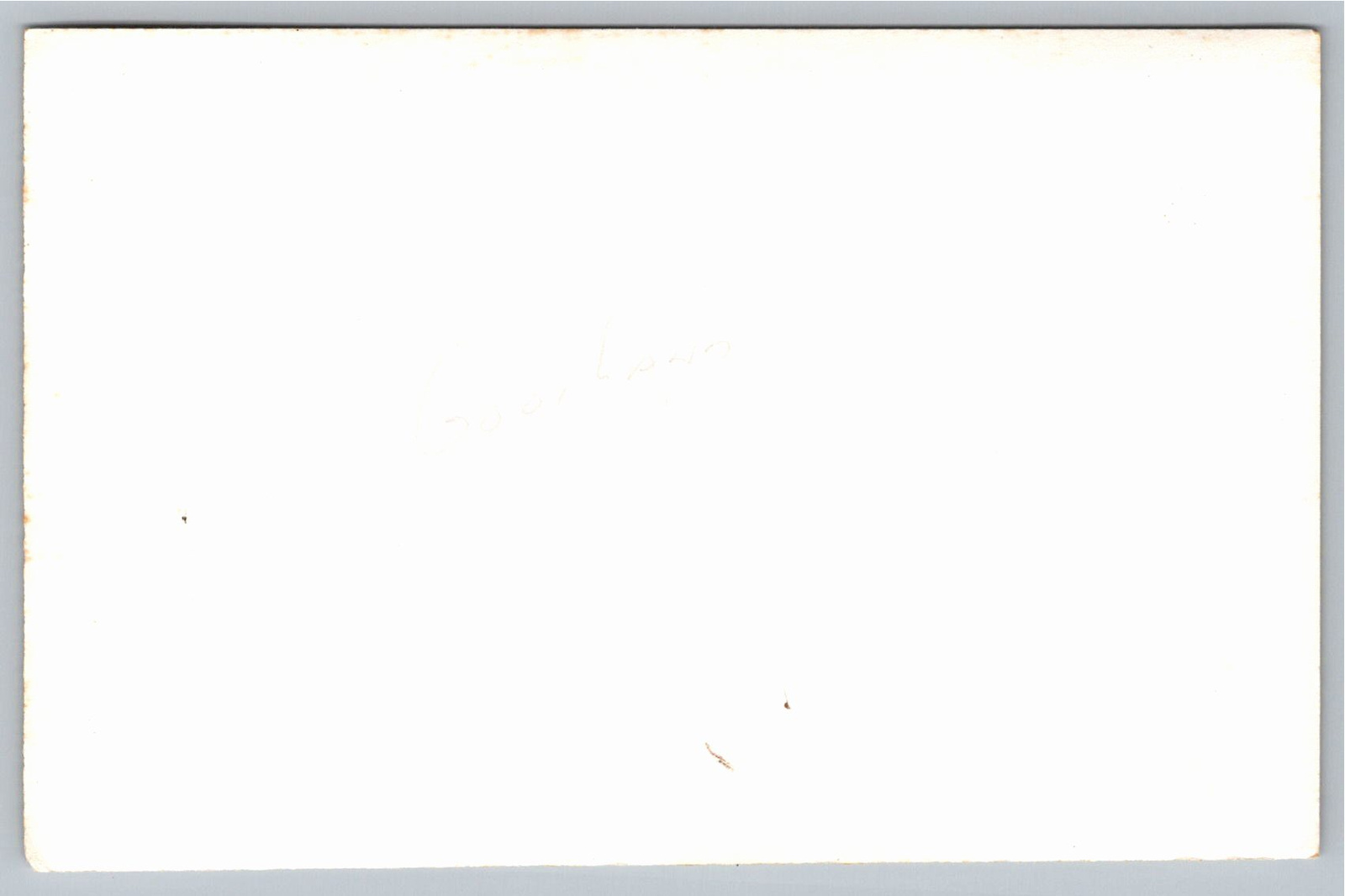 Vintage 1950s Cargo Ship MS Gooiland Gelatin Silver Photo - Back / Reverse View