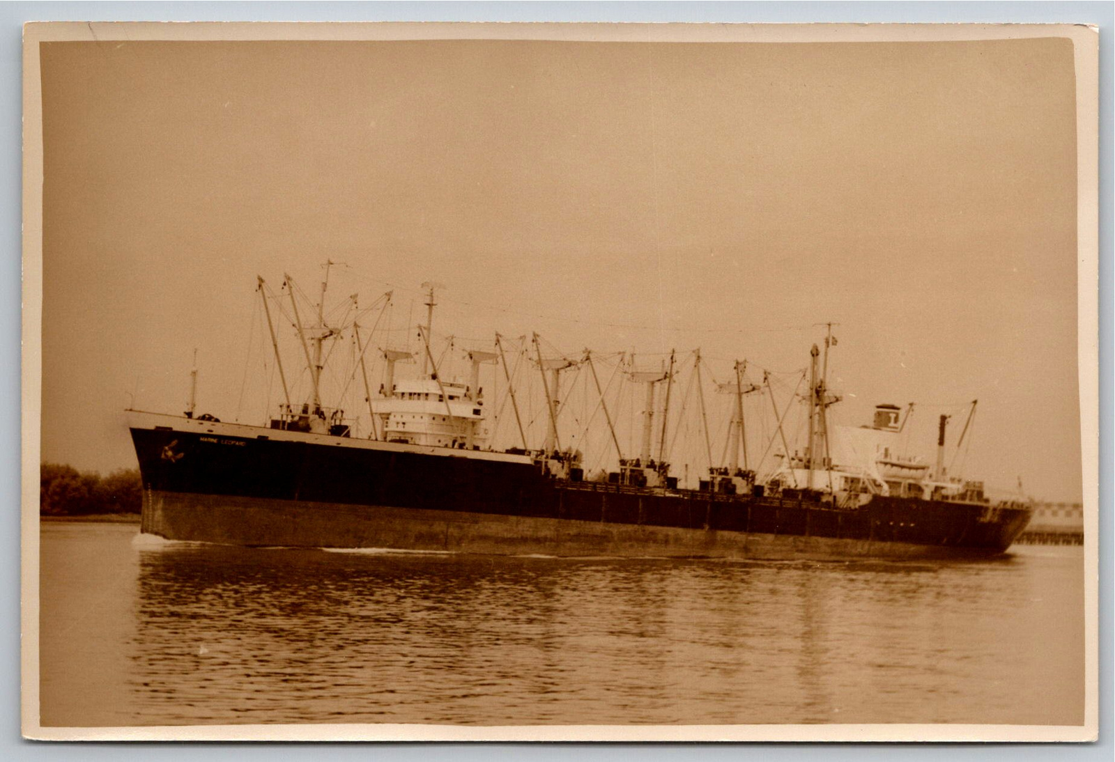 1950s SS Marine Leopard Cargo Ship Photo by R Scozzafava