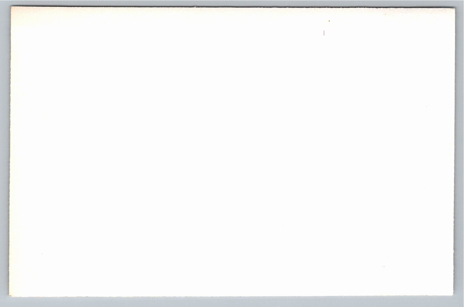 Vintage 1960s MS Flavia Ocean Liner Photo - Cogedar Line - Back / Reverse View