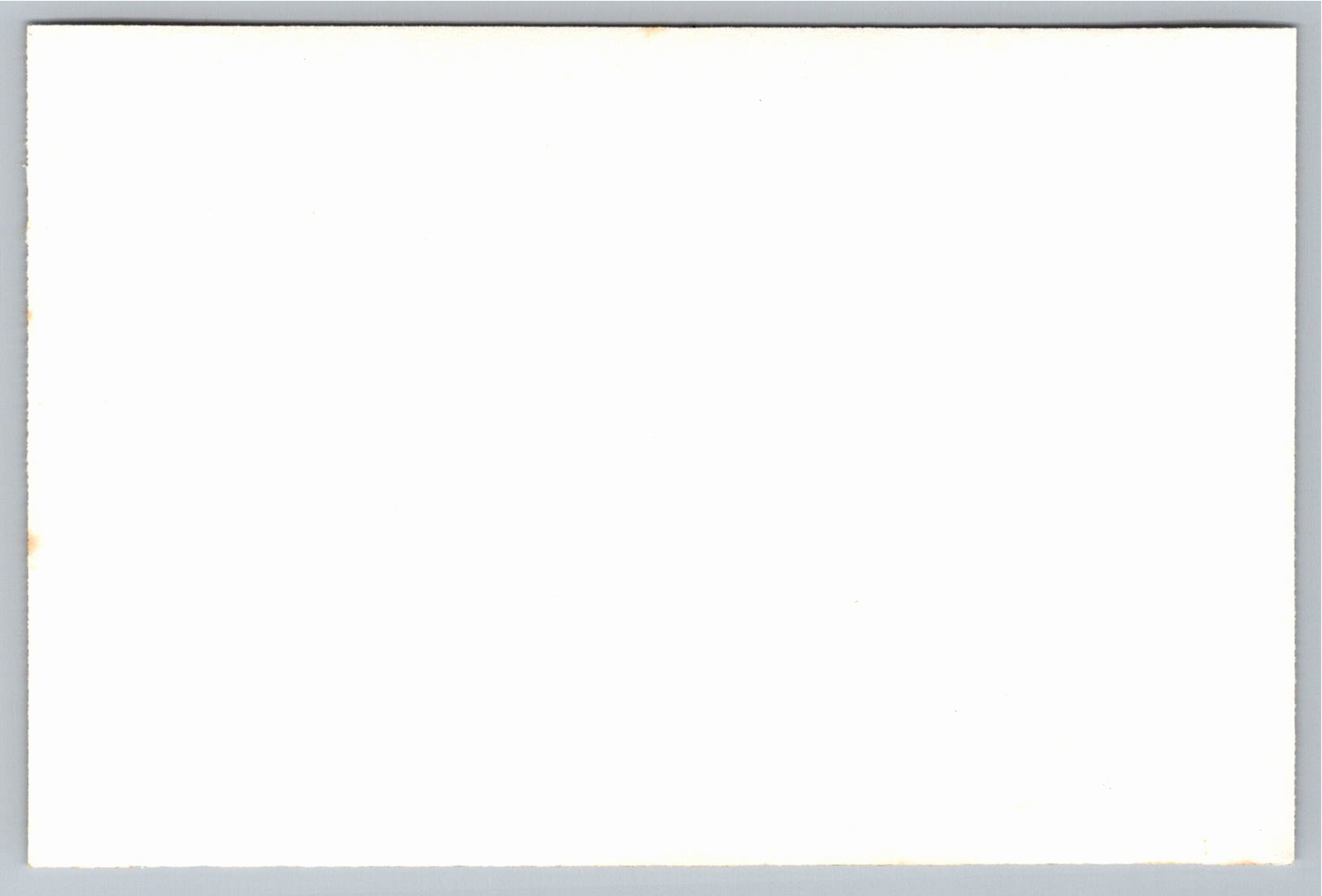 Vintage SS Mormacsurf Ship Photo Moore McCormack Lines 1950s - Back / Reverse View