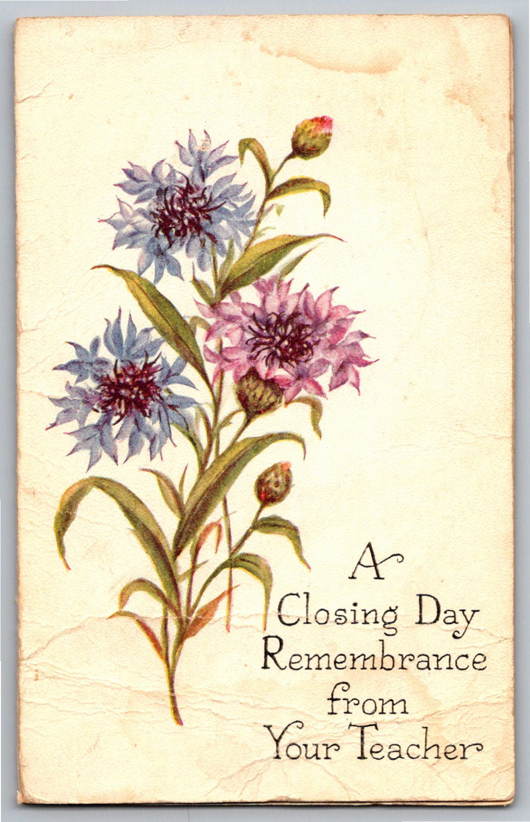 Antique Teacher Closing Day Remembrance Cornflower Card - Vintage Artifact