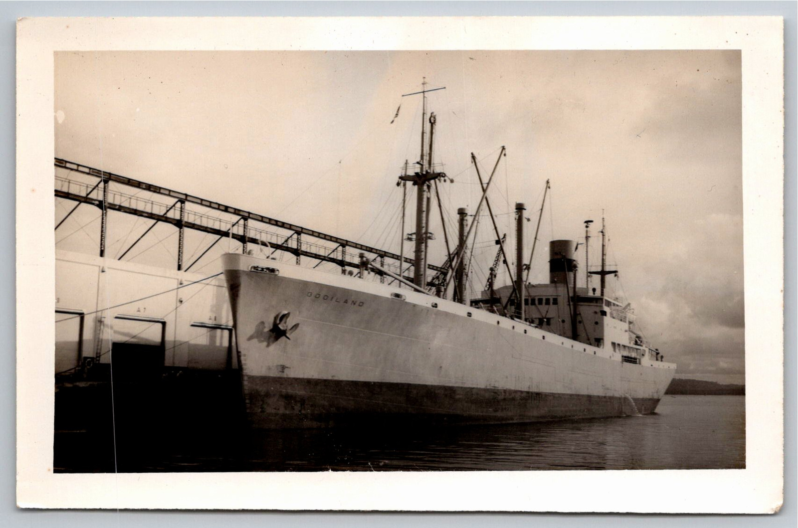 Vintage 1950s Cargo Ship MS Gooiland Gelatin Silver Photo