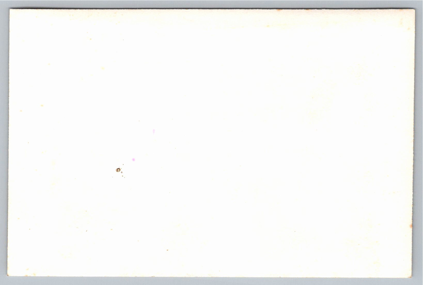 Vintage Santa Rita Cargo Ship Photo Panama Flag Deck Cargo - Back / Reverse View
