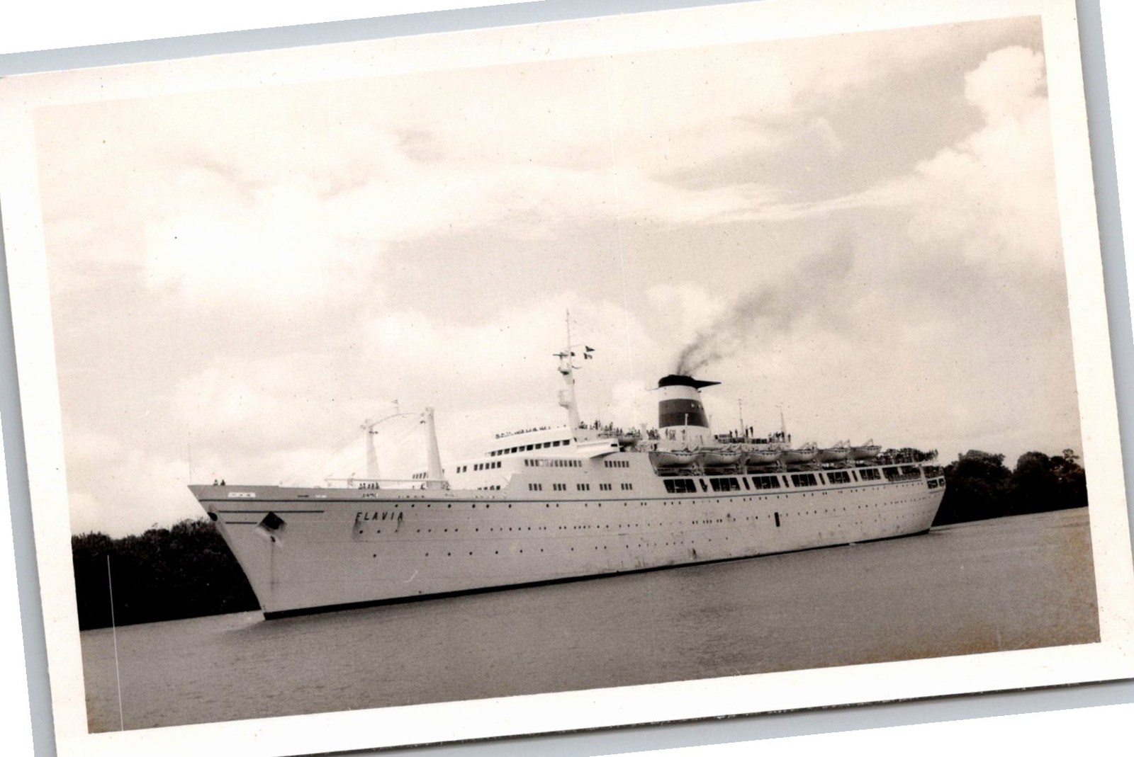Vintage 1960s MS Flavia Ocean Liner Photo - Cogedar Line