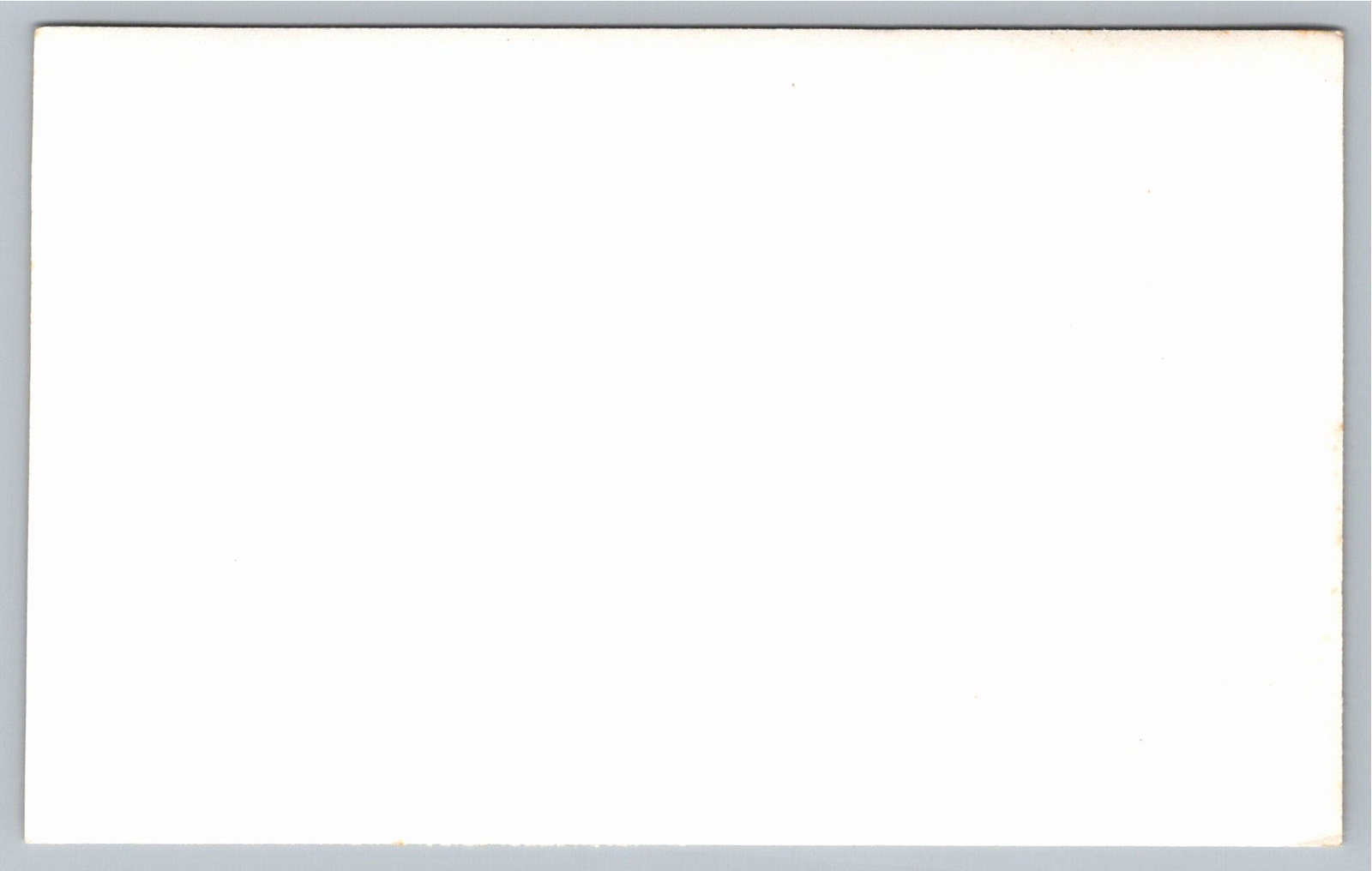Vintage 1960s Panama Canal SS Flying Gull Ship Photograph - Back / Reverse View