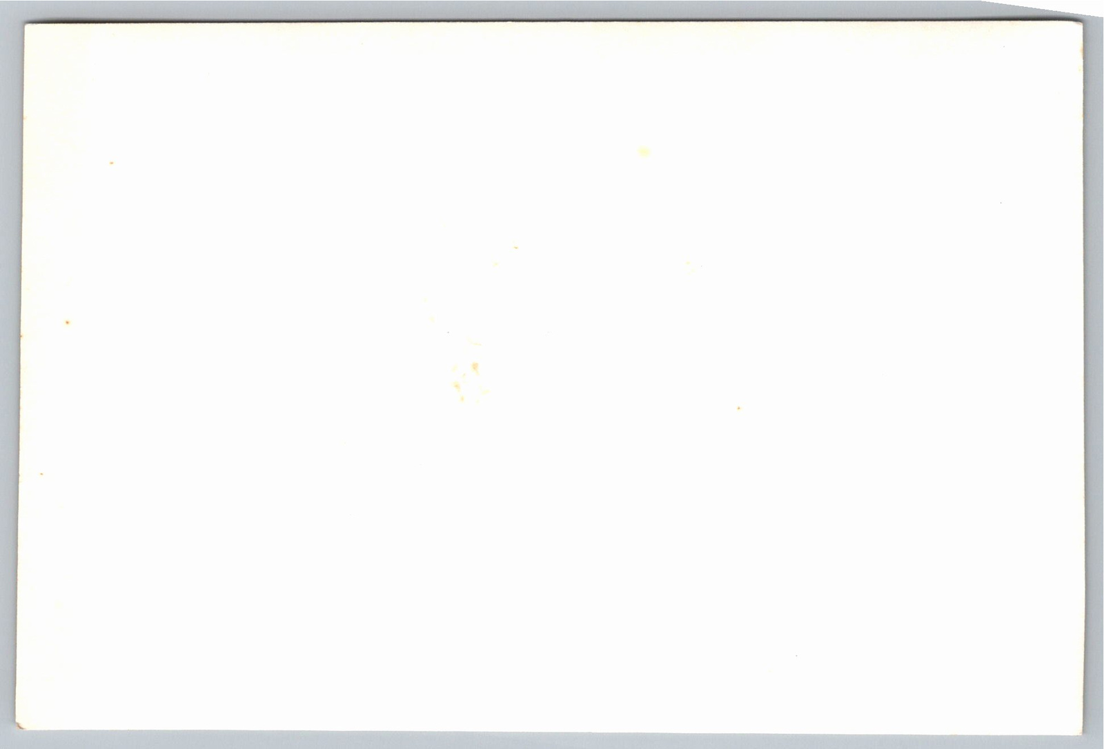 Vintage MV Empire Star Blue Star Line Cargo Ship Photograph - Back / Reverse View