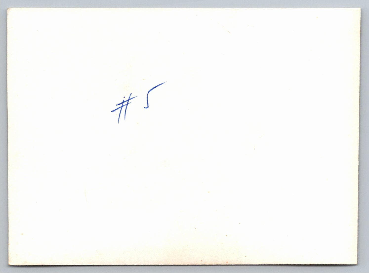 Vintage 1960s Photo Swedish Cargo Ship MS Broland Göteborg - Back / Reverse View